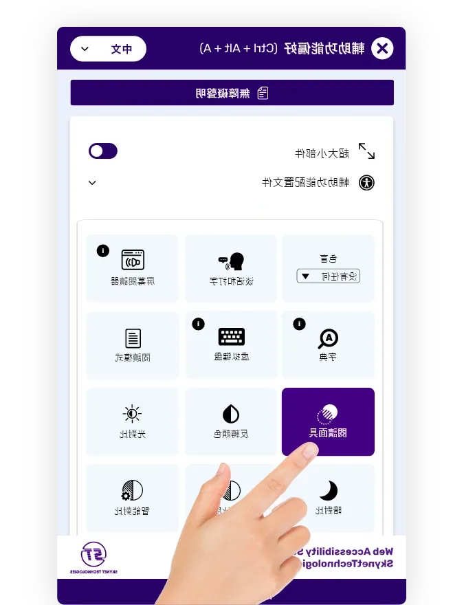 Chinese website accessibility solution